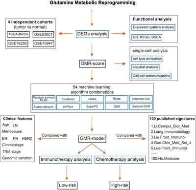 Enhancing breast cancer outcomes with machine learning-driven glutamine metabolic reprogramming signature